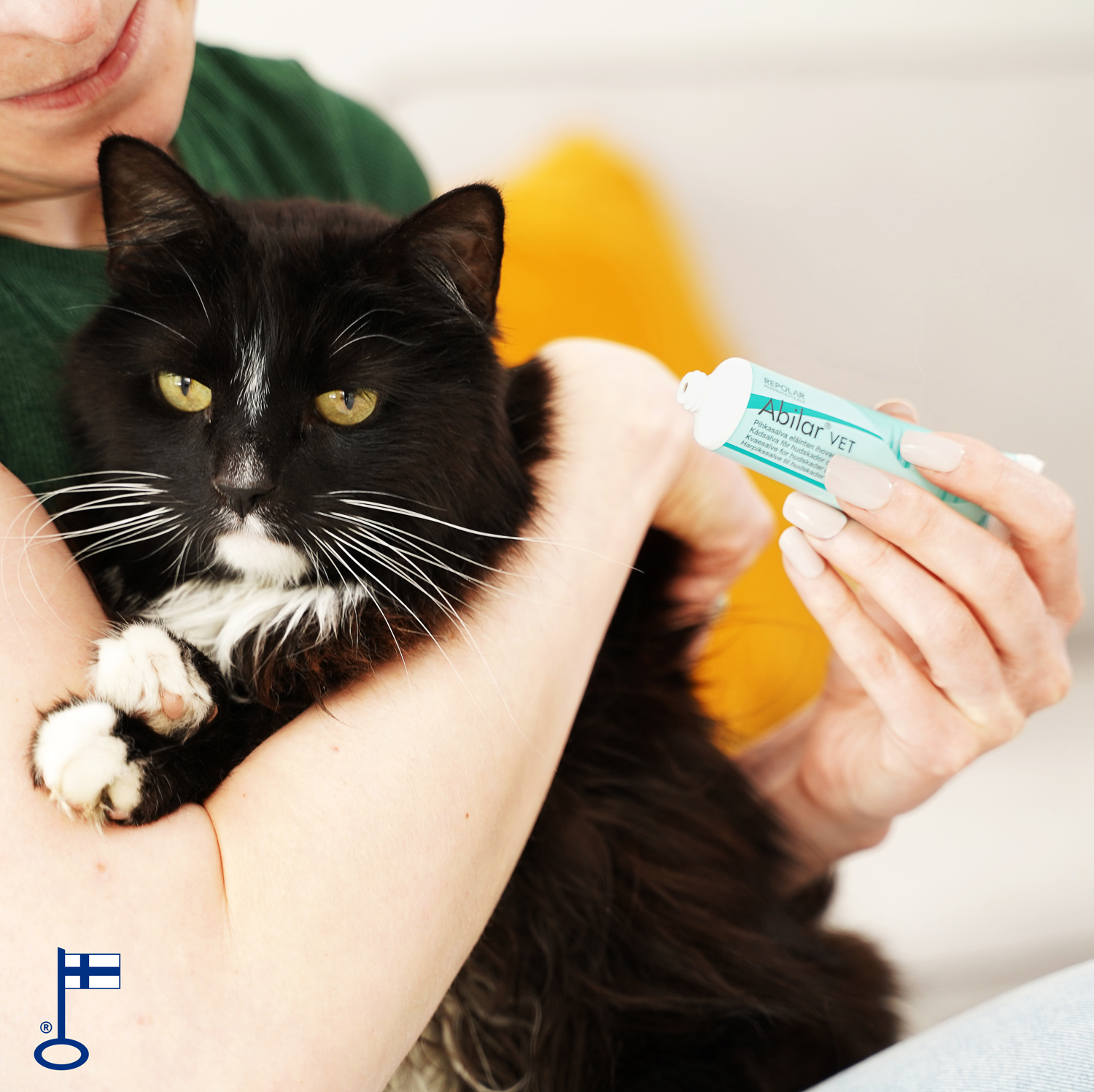Abilar-vet-cat-avainlipulla